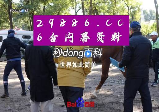 2025年5月25日 第2页